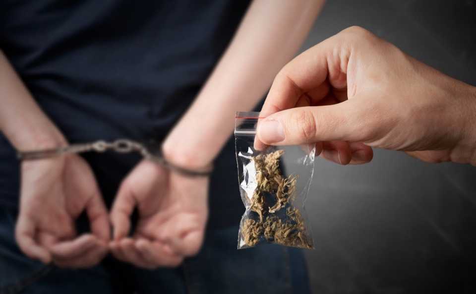 pardon cannabis casier judiciaire