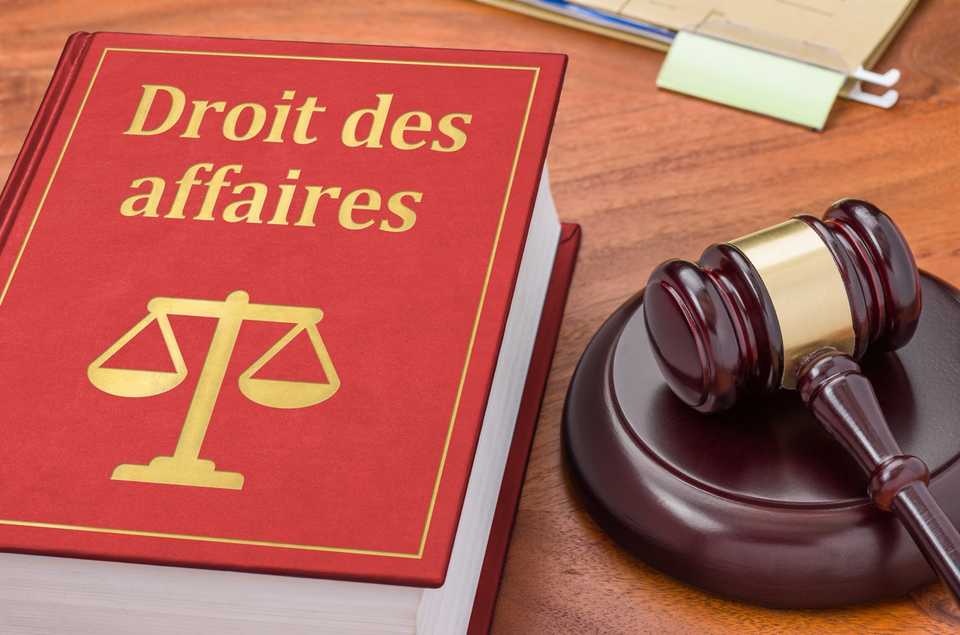 avocat filiales droit