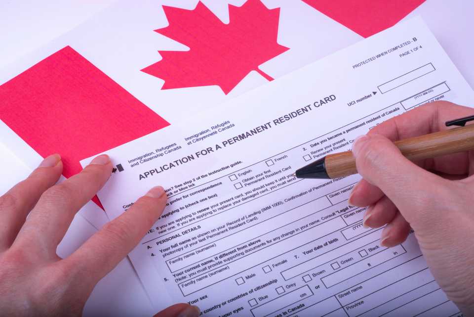 assistance with permanent resident application in canada