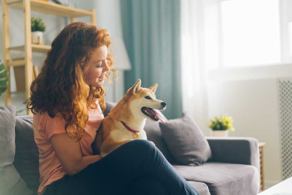 animaux interdits logement