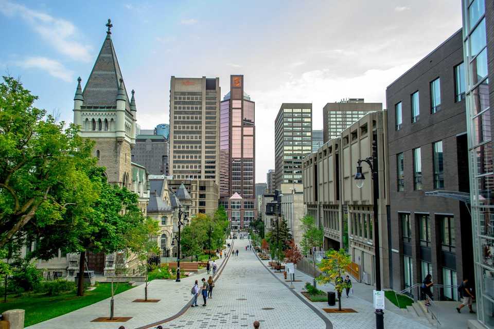 mcgill university law school