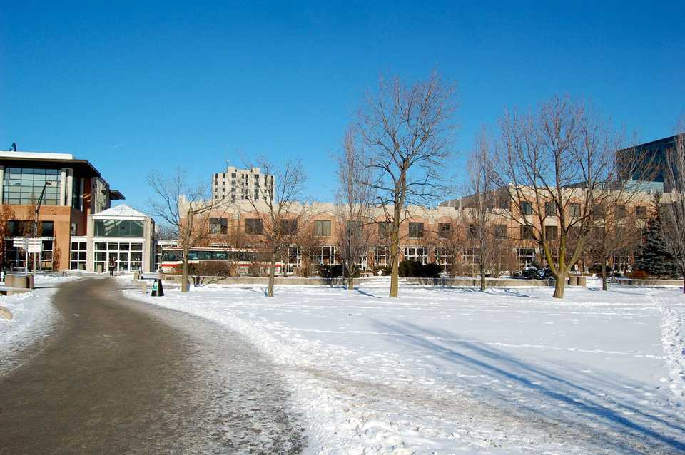 york osgoode law school